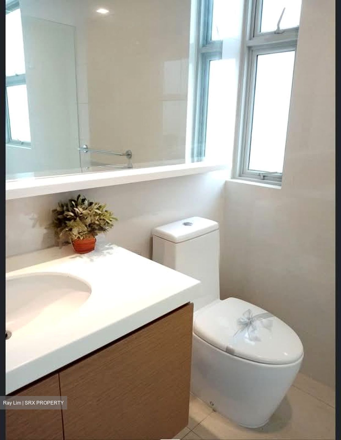 Nassim Regency (D10), Condominium #608925461